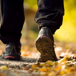 (Sportief)Wandelen